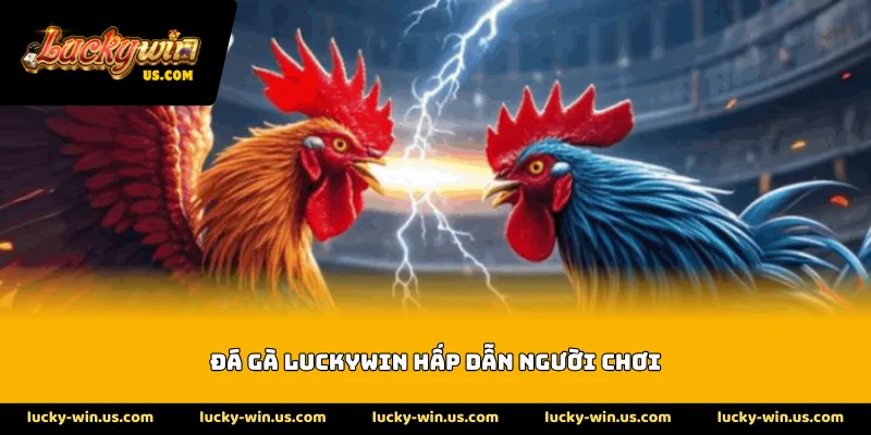 Đá gà Luckywin hấp dẫn người chơi