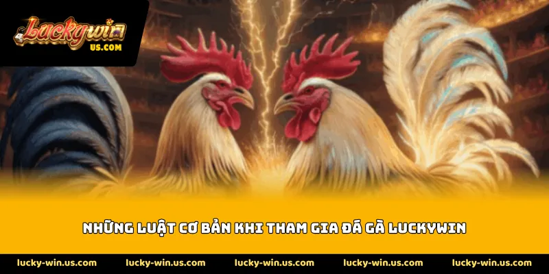 Những luật cơ bản khi tham gia đá gà Luckywin