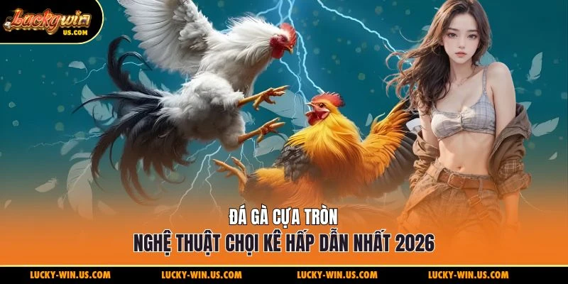 Đá gà cựa tròn